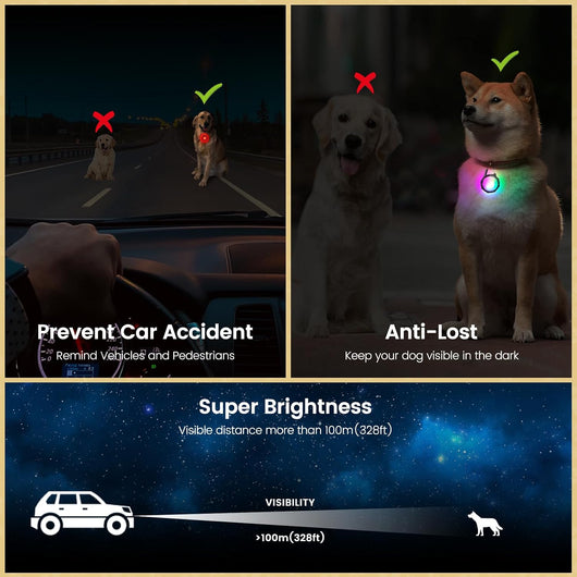 Rechargeable Dog Collar Lights for Night Walks
