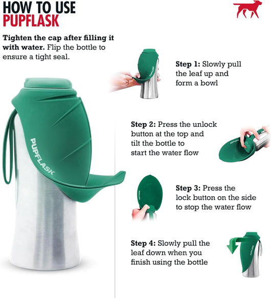 Portable Dog Water Bottle & Travel Bowl