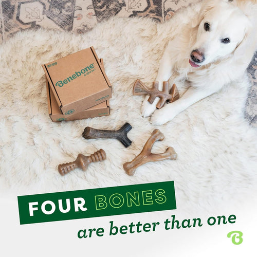 Benebone 4-Pack Medium Chew Bones