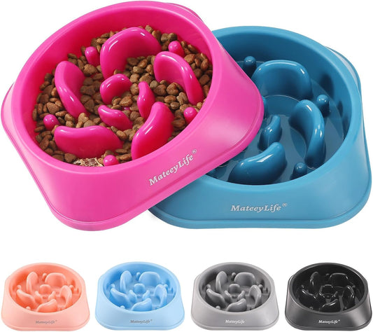 Slow Feeder Puppy Bowl For Healthy Eating Habits