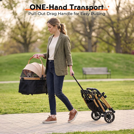 Small Dog Stroller For Safe Comfortable Outdoor Travel
