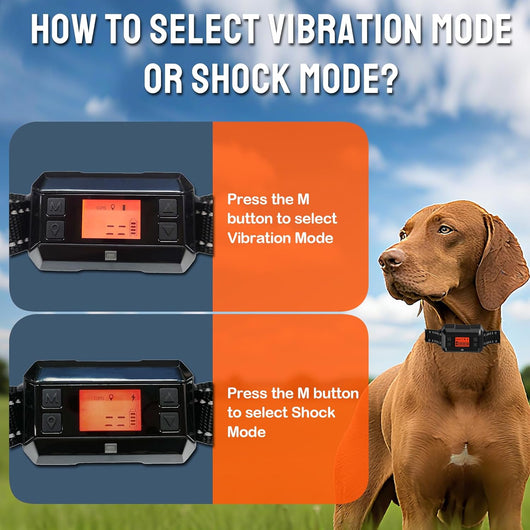 Wireless Dog Fence Collar I Waterproof I Adjustable Range