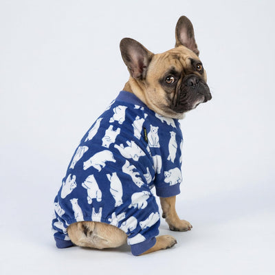 Cozy Bear Velvet Pajamas for Dogs