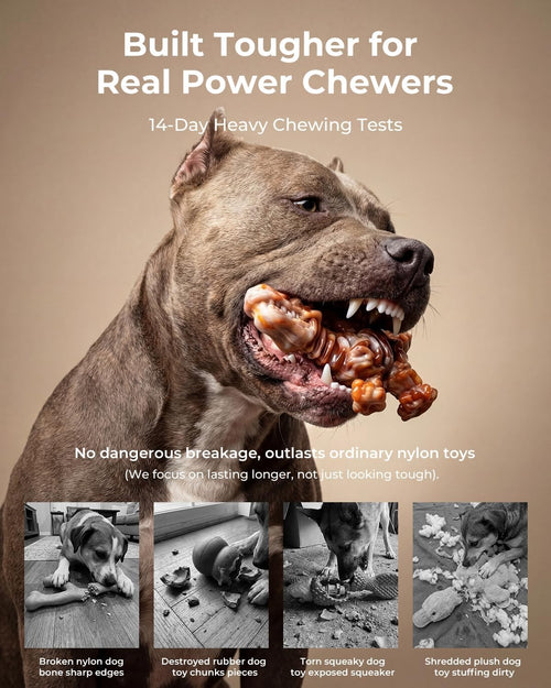 2-Pack Nylon Dino Chew Bones