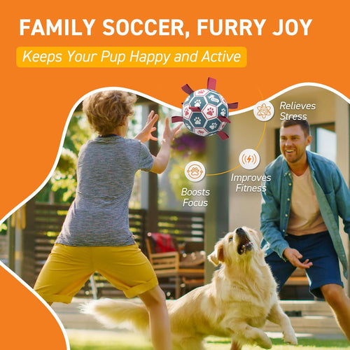QDAN Dog Soccer Ball 6" I Toy for Small & Medium Dogs