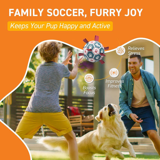 QDAN Dog Soccer Ball 6" I Toy for Small & Medium Dogs