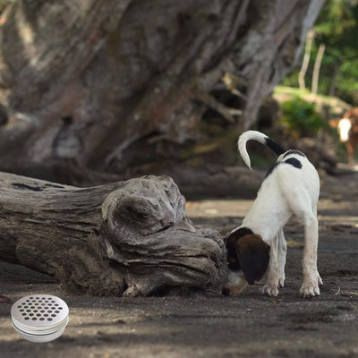 Magnetic Scent Work Training Kit for Dogs