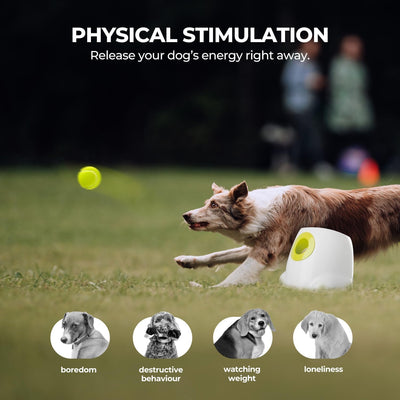 Automatic Dog Ball Launcher | Rechargeable Fetch Toy