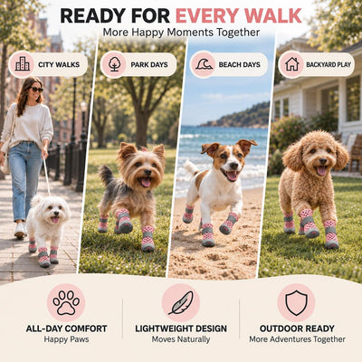 Non-Slip Dog Shoes for Hot Pavement