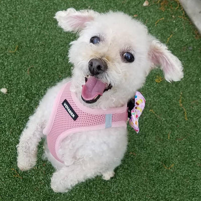 Pink Step-In Dog Harness