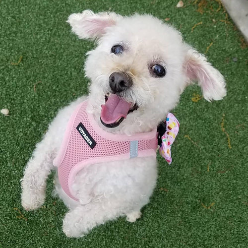 Pink Step-In Dog Harness