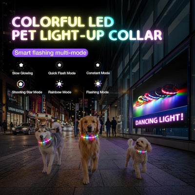 LED Dog Collar I Rechargeable Waterproof