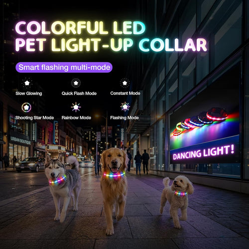 LED Dog Collar I Rechargeable Waterproof