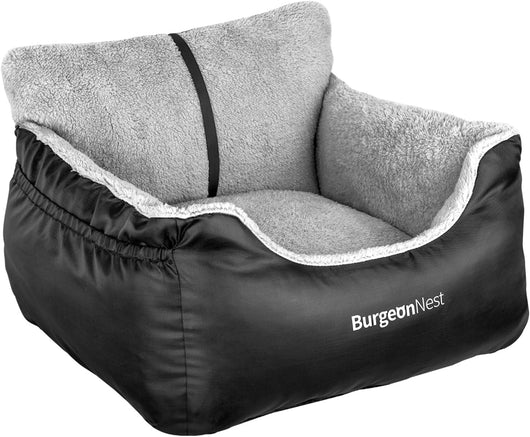 Small dog resting inside padded black car booster seat
