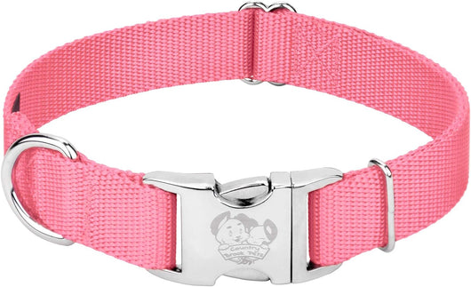 Premium Nylon Dog Collar with Metal Buckle