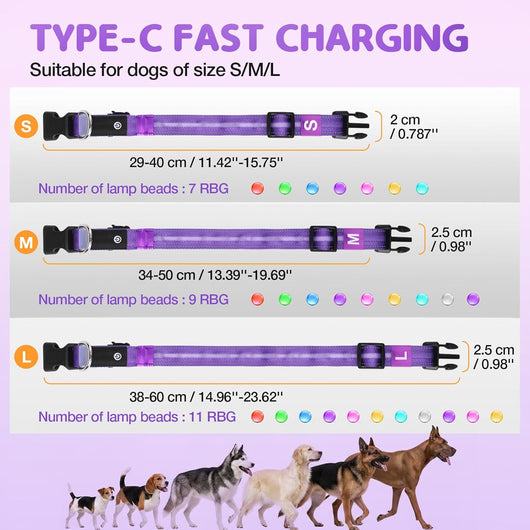 LED Dog Collar I Rechargeable Waterproof