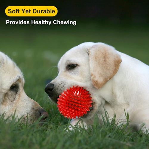3.5" Spiky Squeaky Dog Balls I 6-Pack