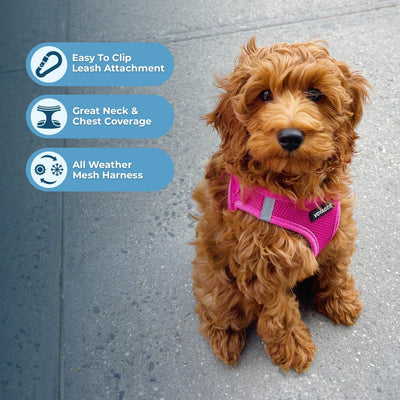 No Pull Step-In Dog Harness