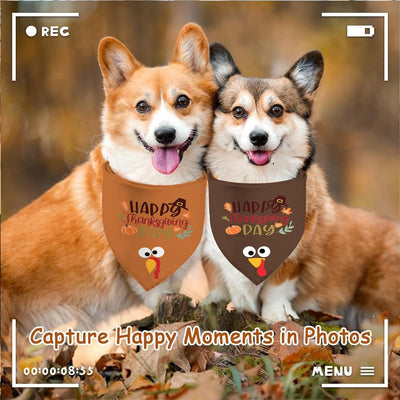 Thanksgiving Turkey Dog Bandana Two-Pack for Celebrations