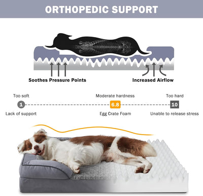 Orthopedic C-Shaped Dog Bed