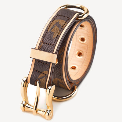 Leather Dog Collar | Soft Padded Durable Adjustable Collar