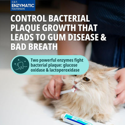 Dog Dental Care Kit | Toothbrush Set