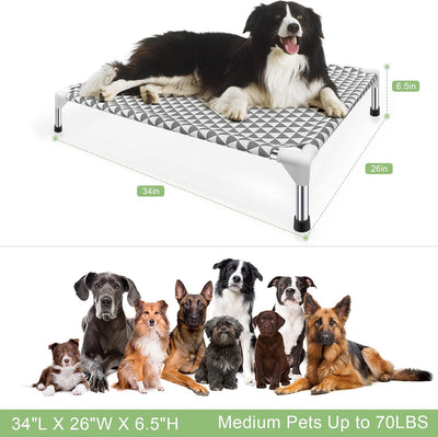 Elevated Outdoor Dog Bed With Cotton Surface
