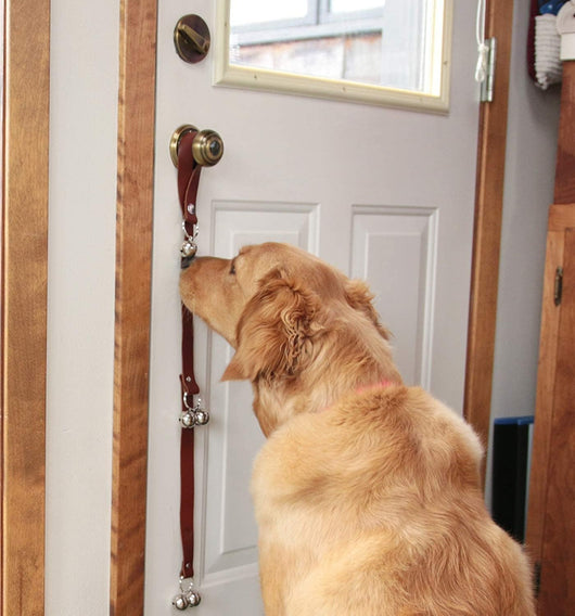 Elegant Leather Puppy Potty Training Doorbells Set