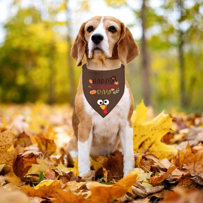 Thanksgiving Turkey Dog Bandana Two-Pack for Celebrations