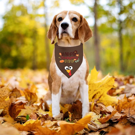 Thanksgiving Turkey Dog Bandana Two-Pack for Celebrations