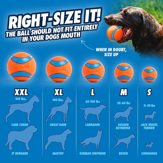 Eco Dog Ball Launcher 18 Inch