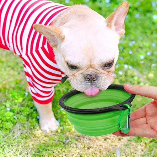 Collapsible Dog Bowls 2-Pack Portable