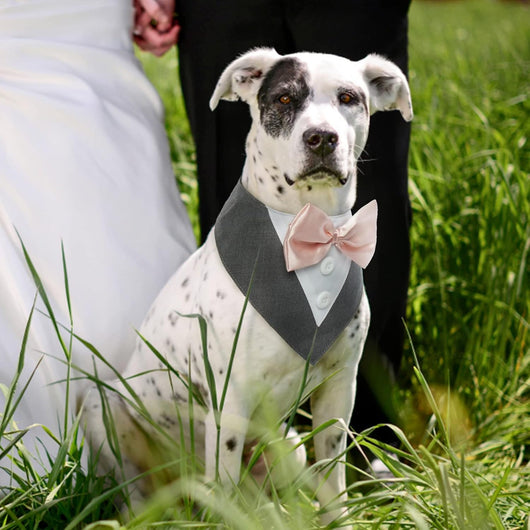 Grey Formal Dog Tuxedo Bandana with Bowtie