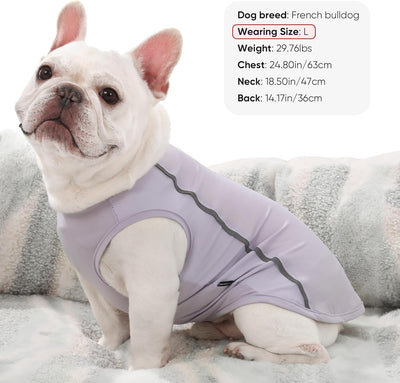 3-Pack Dog Cooling Shirt I UV Protection Reflective