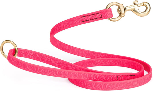 Waterproof Biothane Dog Leash for Training Adventures