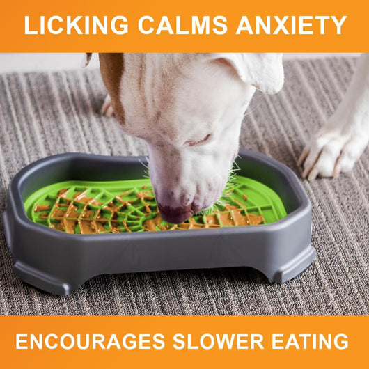 Mess-Proof Dog Lick Mat Slow Feeder Tray