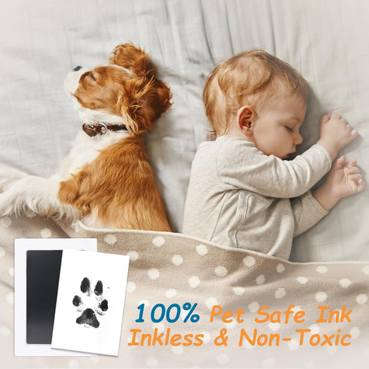 Zone Inkless Paw Print Kit For Pets