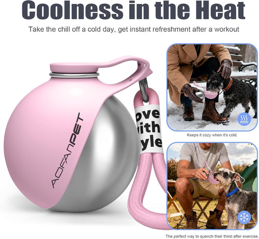 Stainless Steel Dog Water Bottle – 10 oz