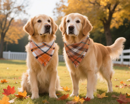 Orange Plaid Fall Dog Bandana Two-Pack Set