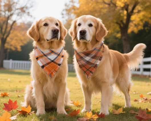Orange Plaid Fall Dog Bandana Two-Pack Set