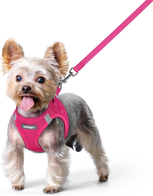 Step In Puppy Harness With Leash Walking Set