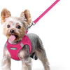 Step In Puppy Harness With Leash Walking Set