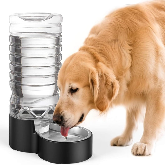 Automatic dog water dispenser with stainless steel bowl for home pet hydration