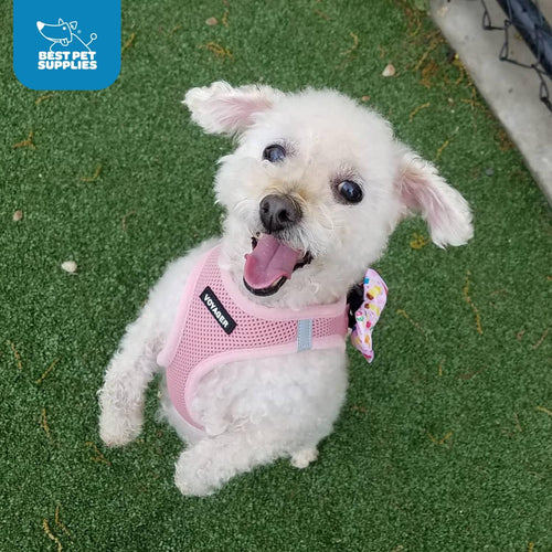 Pink Step-In Dog Harness
