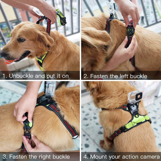 Adjustable Dog Action Camera Harness Mount Vest