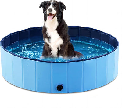Foldable Dog Swimming Pool for Summer Adventures