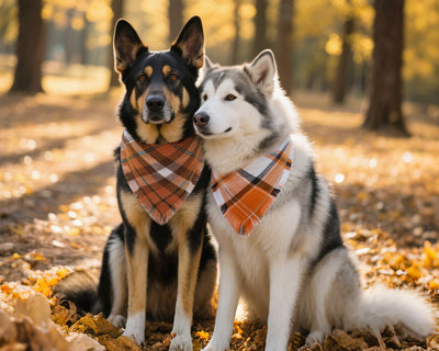 Orange Plaid Fall Dog Bandana Two-Pack Set