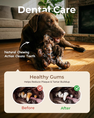 2-Pack Nylon Dino Chew Bones