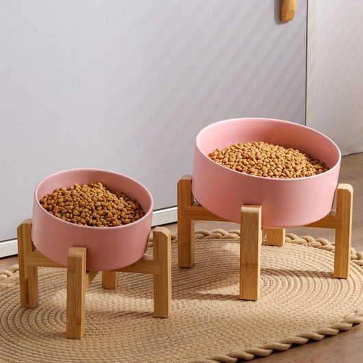 Pink Ceramic Dog Bowl I Non-Slip Stand
