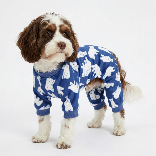 Cozy Bear Velvet Pajamas for Dogs